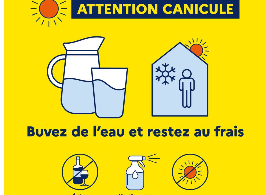 Canicule : les bons gestes