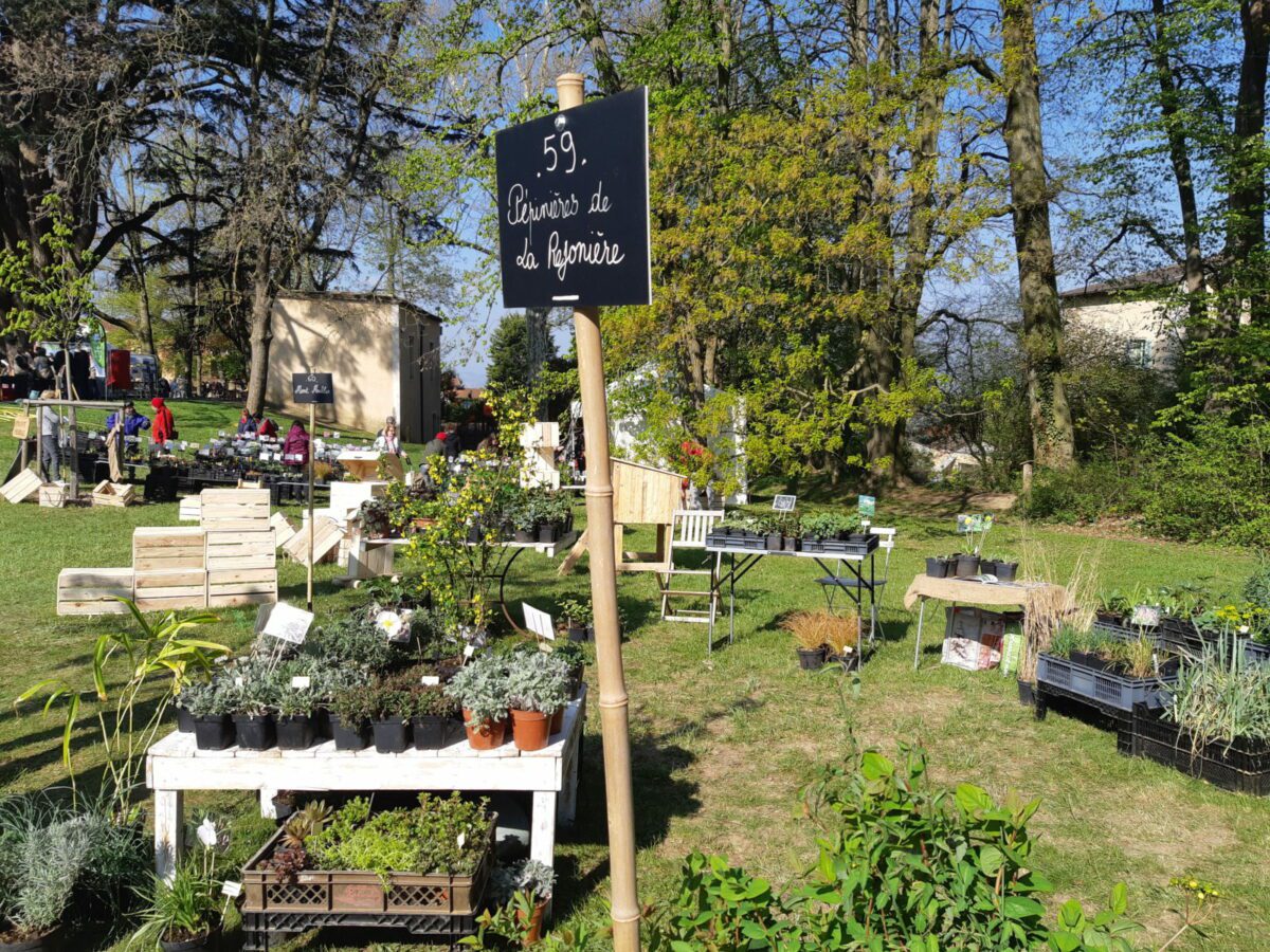 Photo JDD - Foire aux plantes