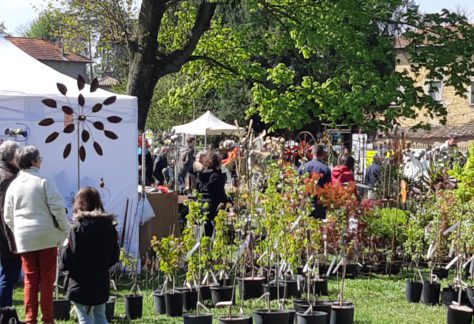 Photo Foire aux plantes rares 2019