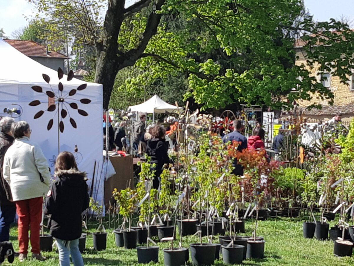 Photo Foire aux plantes rares 2019