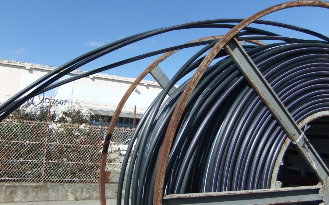 fibre THD