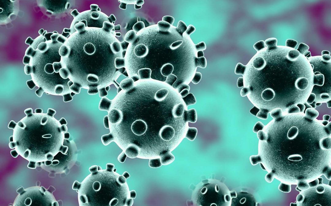 LE CORONAVIRUS EN FACILE A LIRE ET A COMPRENDRE