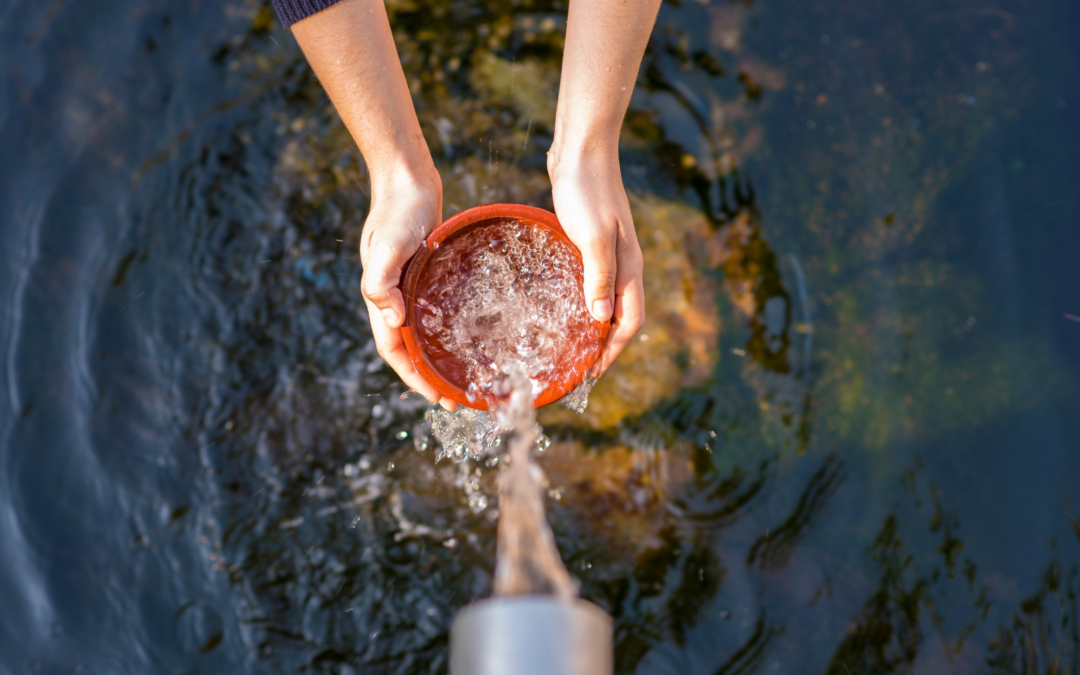 Agence de l’eau Rhône Méditerranée Corse : Rapport d’activité 2020