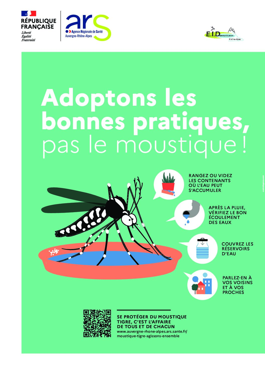 Moustique tigre : les bons gestes à adopter !