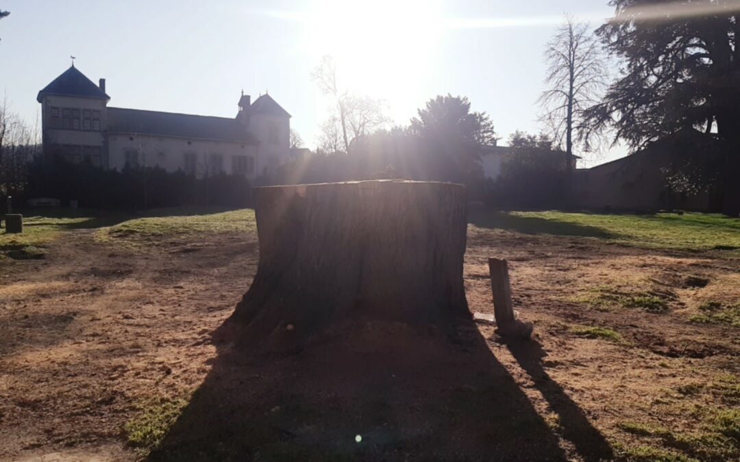 Parc de Rancé : nous avons besoin de vous !