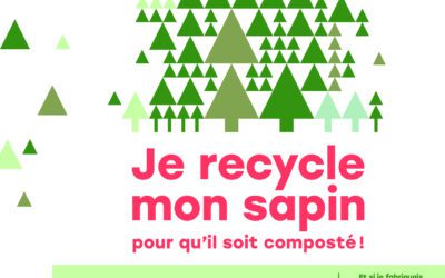 Recyclez votre sapins ! Des points de collecte sont à disposition.