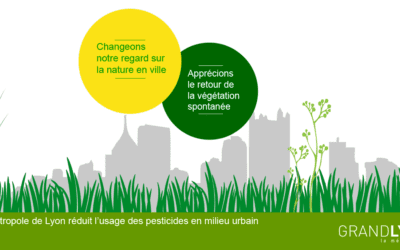 Végétation spontanée… pour la biodiversité !