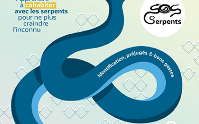 Serpents : stop aux idées reçues.  Petit guide pour mieux les connaître et les comprendre