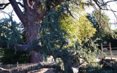 Fermeture temporaire du Parc de Rancé